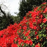 בית נופש Vacanze Al