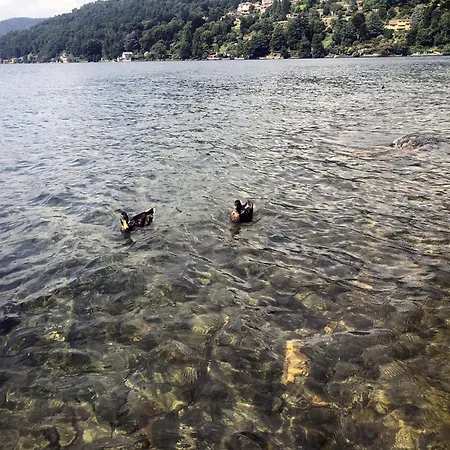 Holiday home Vacanze Al Orta San Giulio